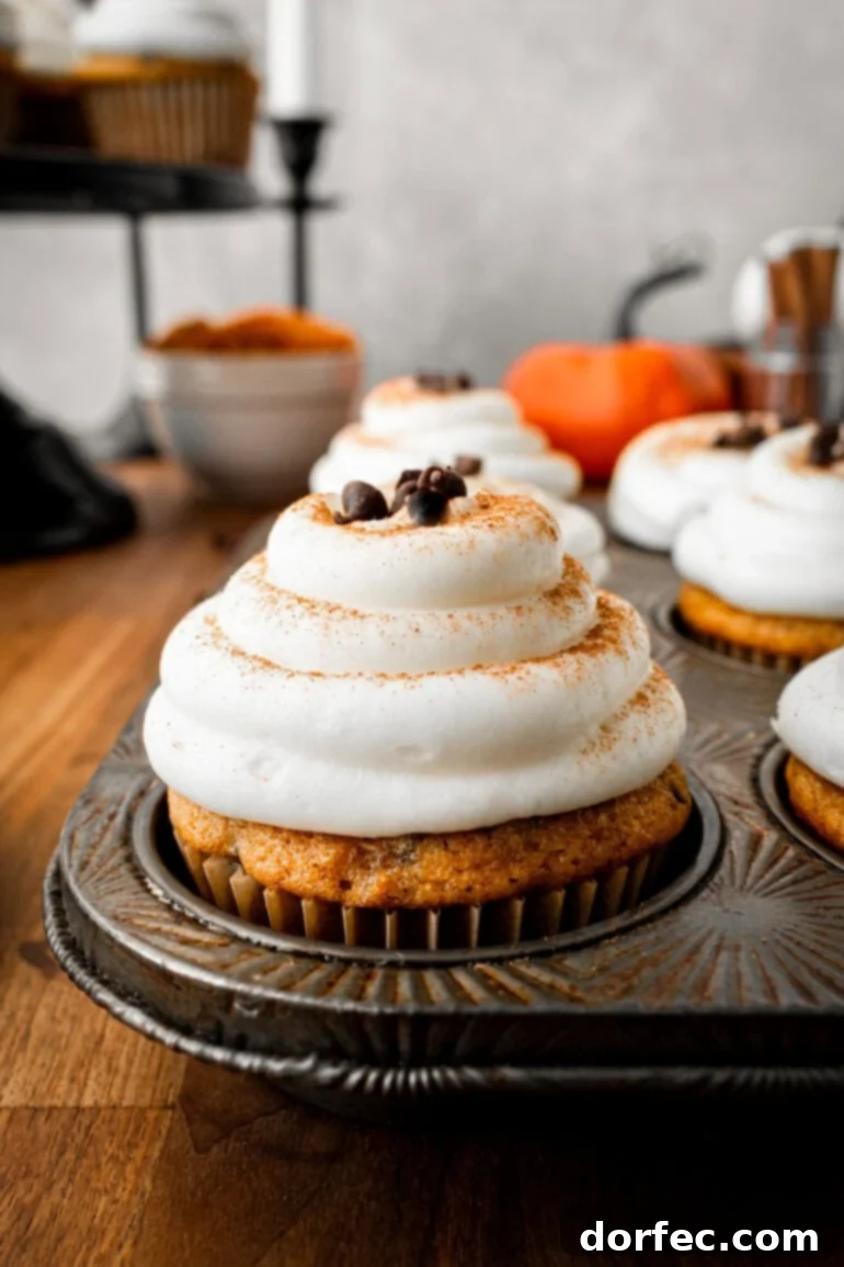 a photo of a muffin tin full of pumpkin chocolate chip cupcakes topped with cream cheese frosting with chocolate chips on top