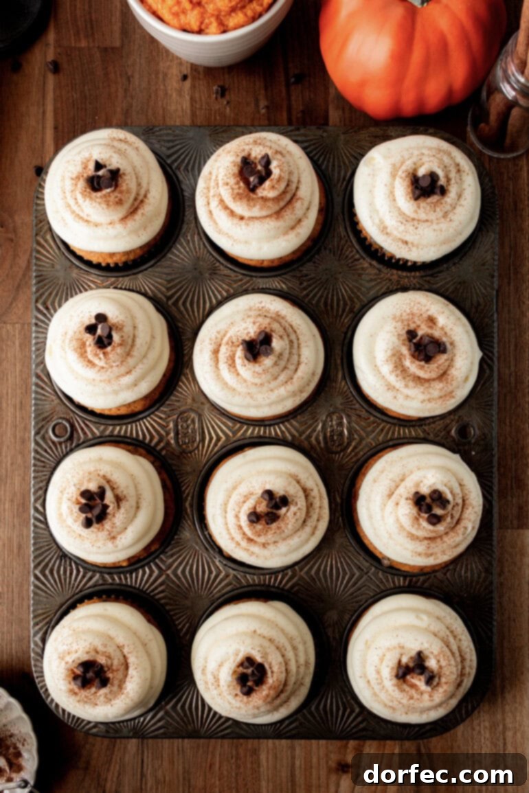 a photo taken over the top of a muffin pan full of baked pumpkin cupcakes topped with white cream cheese frosting, a dusting of cinnamon and a few mini chocolate chips.