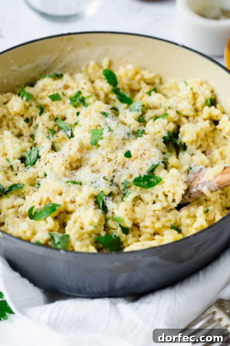 Meals for the Week: November 27 to December 3 6 A bowl of creamy garlic parmesan orzo with a wooden spoon in it. The orzo has a creamy white sauce and is mixed with fresh thyme leaves. Fresh grated parmesan cheese is sprinkled on top.