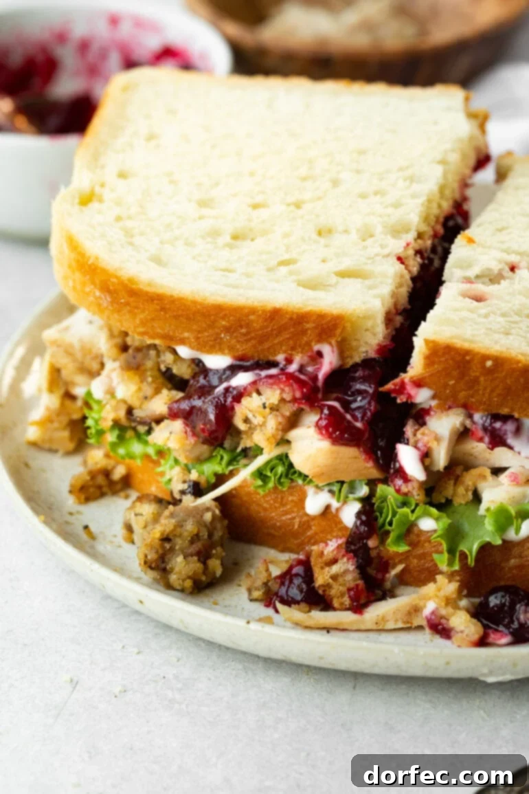 A tantalizing close-up of The Gobbler, a generously loaded turkey sandwich, piled high with stuffing, cranberry sauce, a drizzle of gravy, and fresh lettuce on soft white bread.