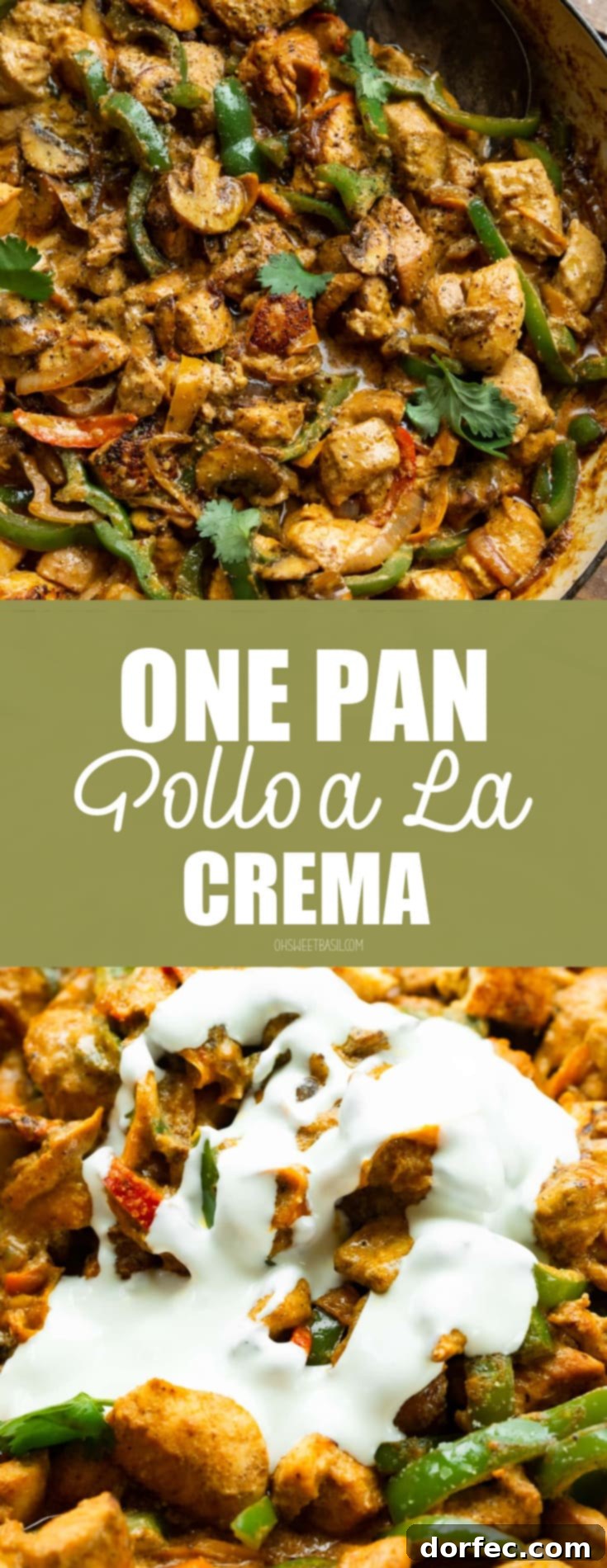 A full-view photo of a skillet filled with golden cooked chunks of chicken, sautéed bell peppers, onions, and mushrooms, all coated in a rich creamy sauce and garnished with fresh chopped cilantro.
