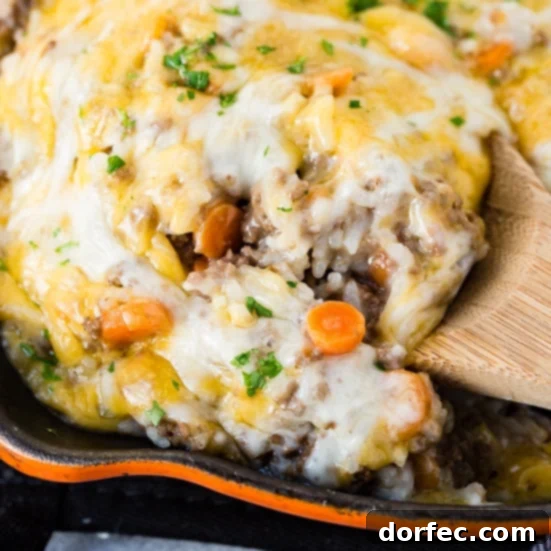 A close-up shot of a creamy ground beef and rice casserole, topped with a bubbling layer of golden-brown melted cheese, freshly made in an Instant Pot.