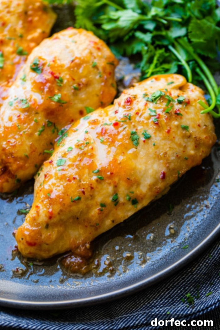 Two perfectly cooked chicken breasts, glazed with a glistening apricot Italian dressing, served on a dark plate, suggesting a gourmet yet simple meal.