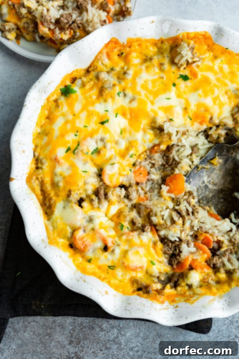 A hearty and comforting cheesy ground beef and rice casserole, baked to golden perfection in a round ceramic baking dish, with a large serving spoon scooping out a portion.