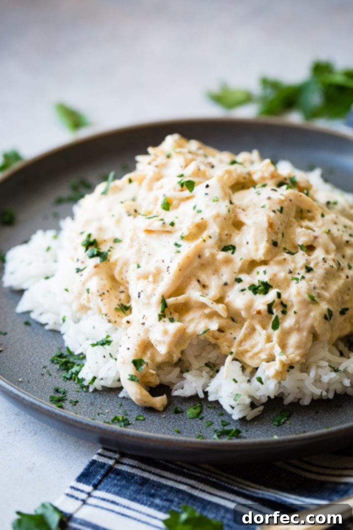 Weekly Meal Plan March 11-17 8 A dark grey plate holds a generous pile of fluffy white Jasmine rice, beautifully topped with creamy, shredded crockpot chicken, adorned with a delicate sprinkle of fresh parsley in the background, showcasing a comforting and delicious meal.