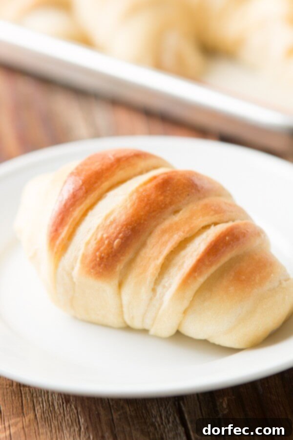 Our famous potato rolls recipe ohsweetbasil.com