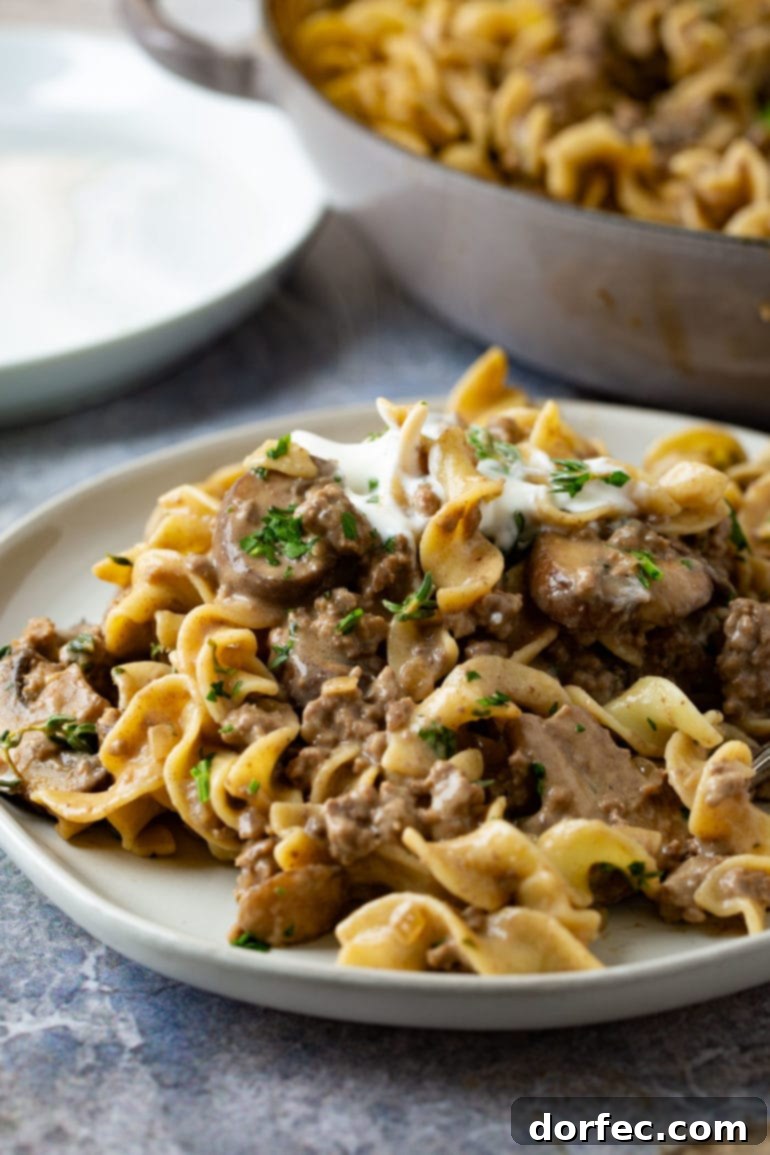 A dinner plate featuring a generous serving of ground beef stroganoff with noodles and a rich sauce, crowned with a dollop of sour cream.