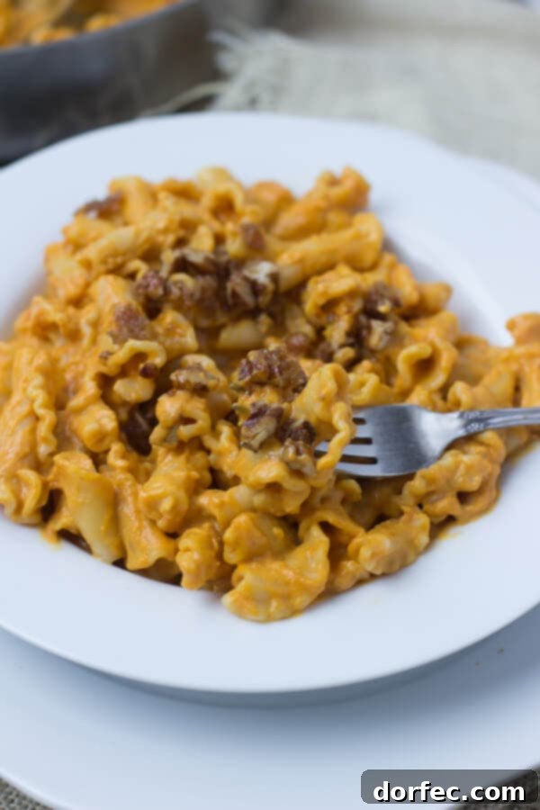 Creamy Pumpkin Pasta sauce with crunchy brown sugar pecans. You have to try to truly understand just how fantastic this pasta dish is! #fishernuts ohsweetbasil.com