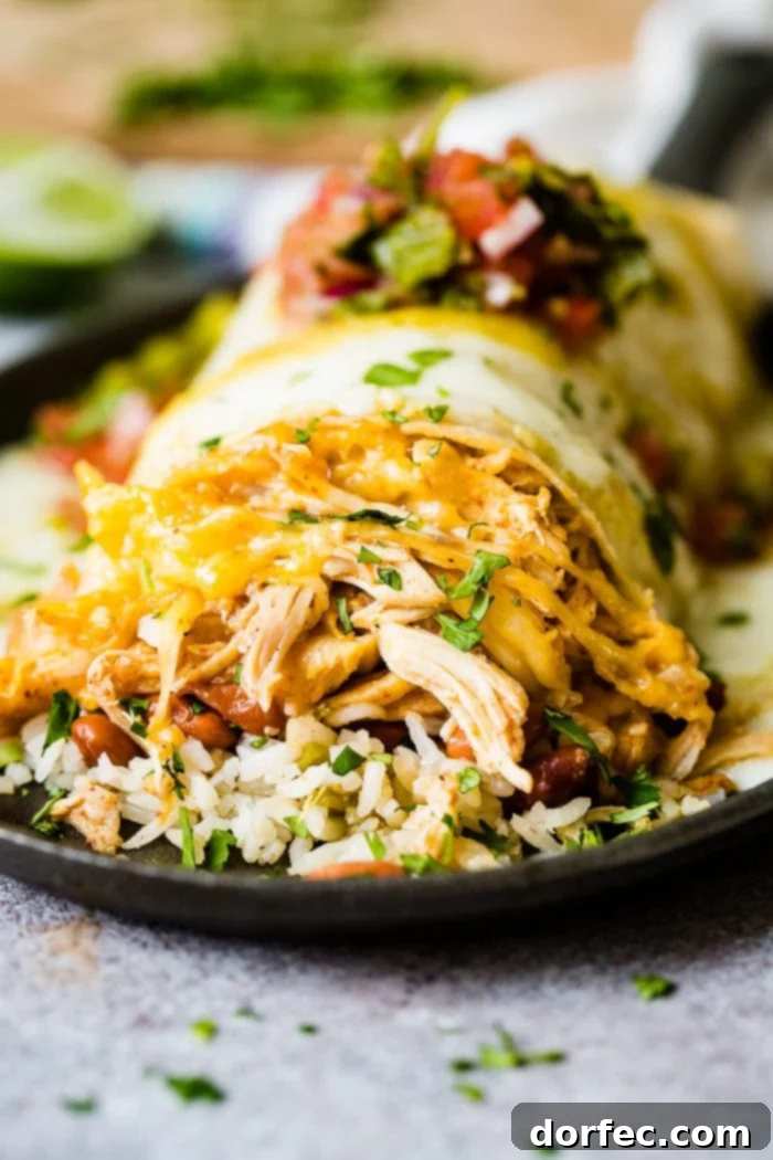 A close-up shot of a delectable smothered honey lime chicken burrito, generously topped with melted cheese, a dollop of salsa, and fresh cilantro, revealing a delicious filling of rice and beans.