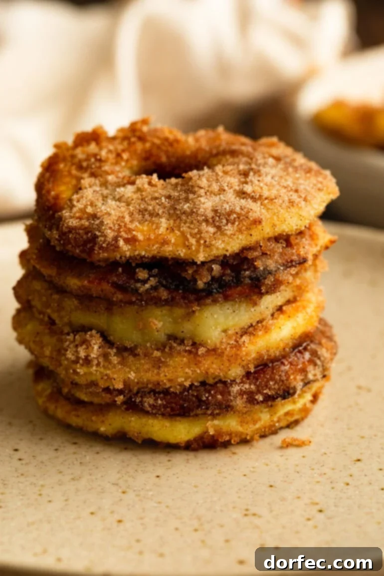 A stack of golden air-fried apple rings coated in crunchy cinnamon and sugar, showcasing the perfect texture for a quick apple dessert.