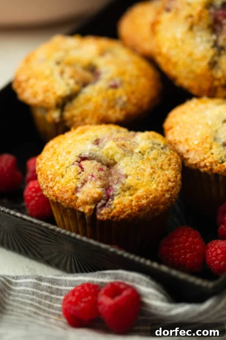 A tray of golden-baked Cream of Wheat Raspberry Muffins, garnished with fresh, ripe raspberries, ready for serving.