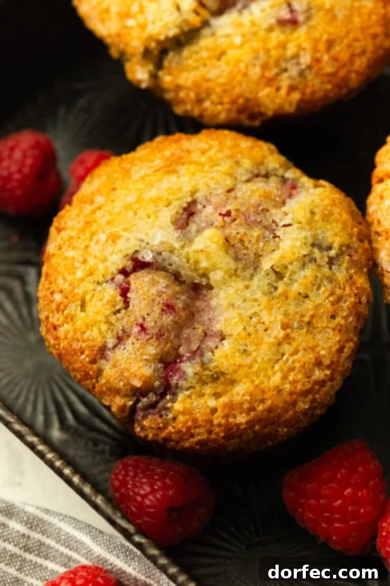 A close-up photo of a single golden-baked Cream of Wheat Raspberry Muffin, generously topped with sparkling turbinado sugar, showcasing its delicate texture.