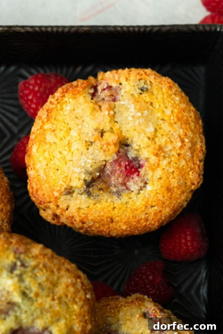 A top-down view of a golden-brown Cream of Wheat Raspberry Muffin, beautifully adorned with sparkling turbinado sugar, nestled in a baking tray.