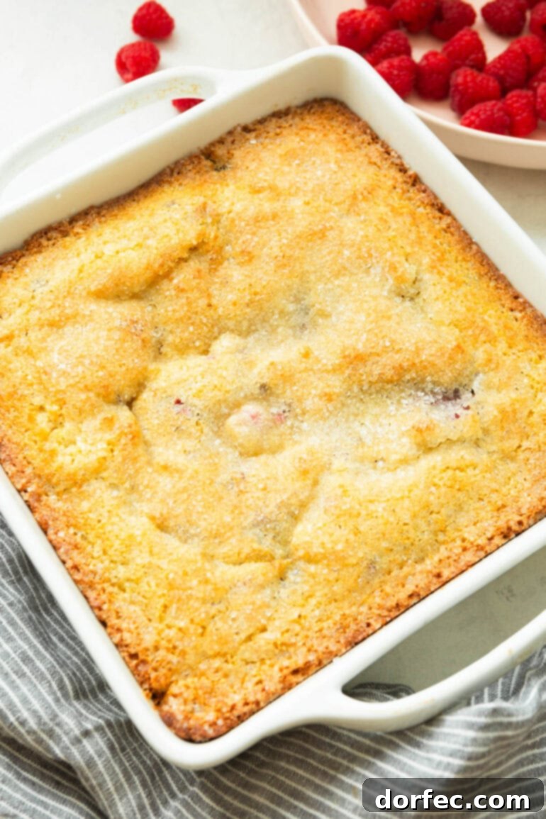 A square baking dish filled with a baked Cream of Wheat Raspberry Breakfast Cake, highlighting its comforting appearance.
