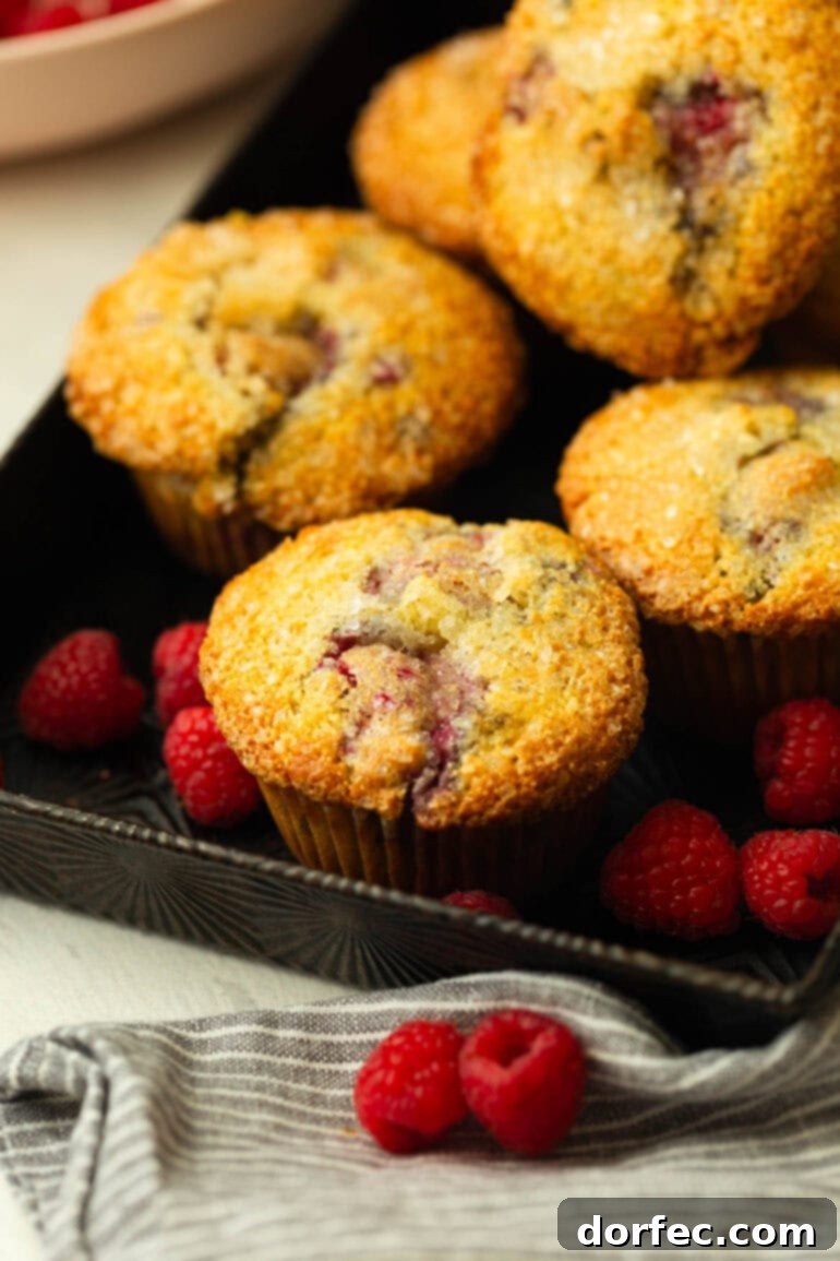 A serving tray filled with freshly baked Cream of Wheat Raspberry Muffins, surrounded by glistening fresh raspberries.
