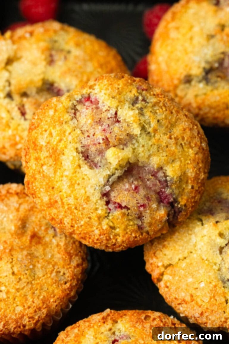 A collection of beautifully baked Cream of Wheat Raspberry Muffins, showcasing their uniform golden color and appetizing tops.