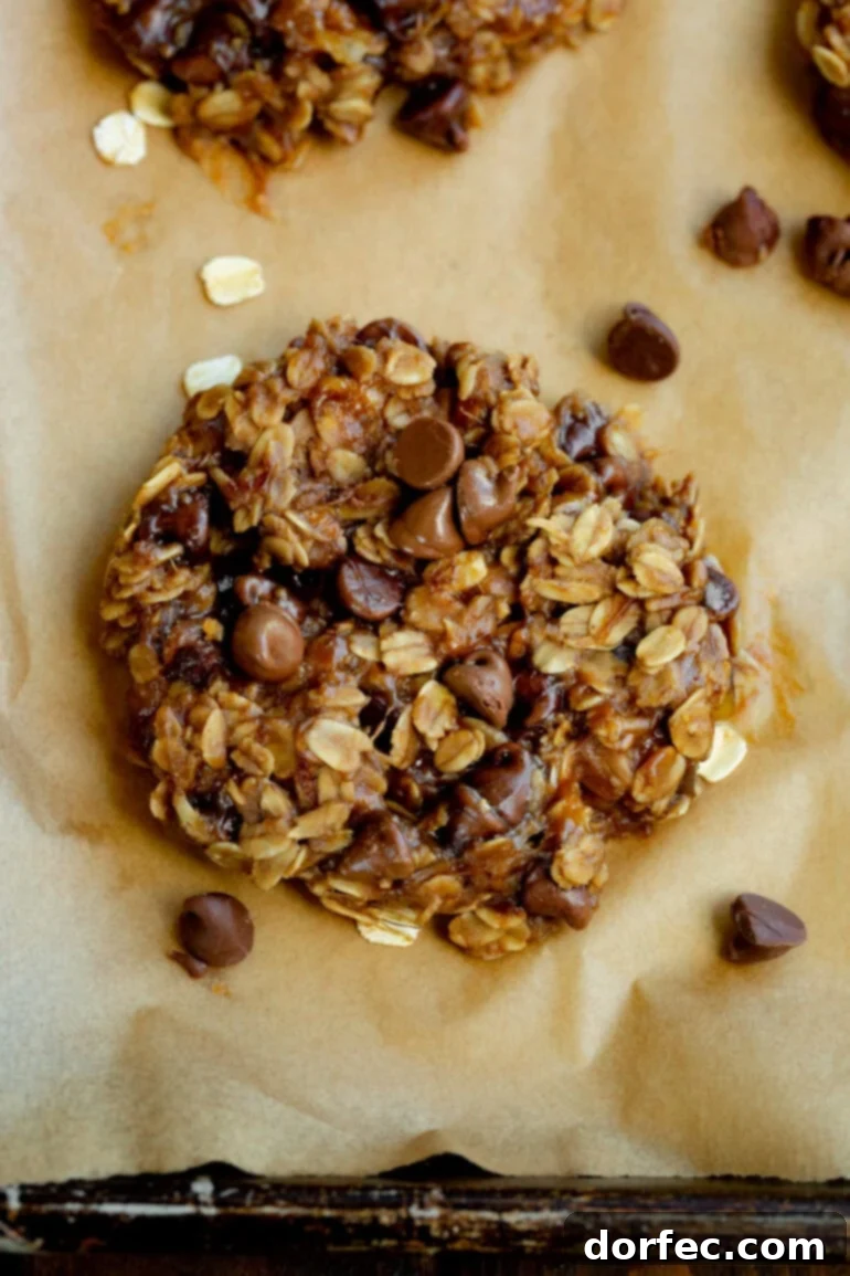A beautifully baked peanut butter chocolate chip breakfast cookie, golden brown with melted chocolate chips visible, resting on a rustic wooden surface, highlighting its delicious and wholesome appeal for a guilt-free breakfast or snack.