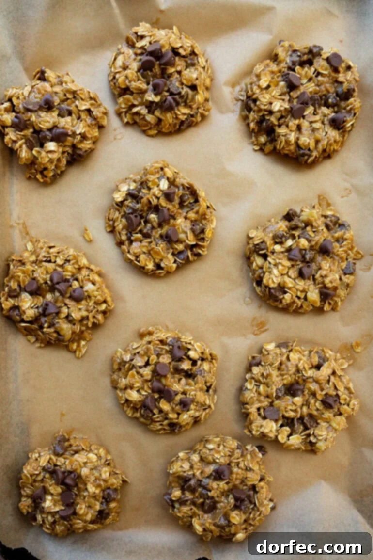 A sheet pan filled with unbaked peanut butter oatmeal breakfast cookies, perfectly scooped and gently flattened, ready to be placed in the oven, promising a delightful and wholesome breakfast treat.