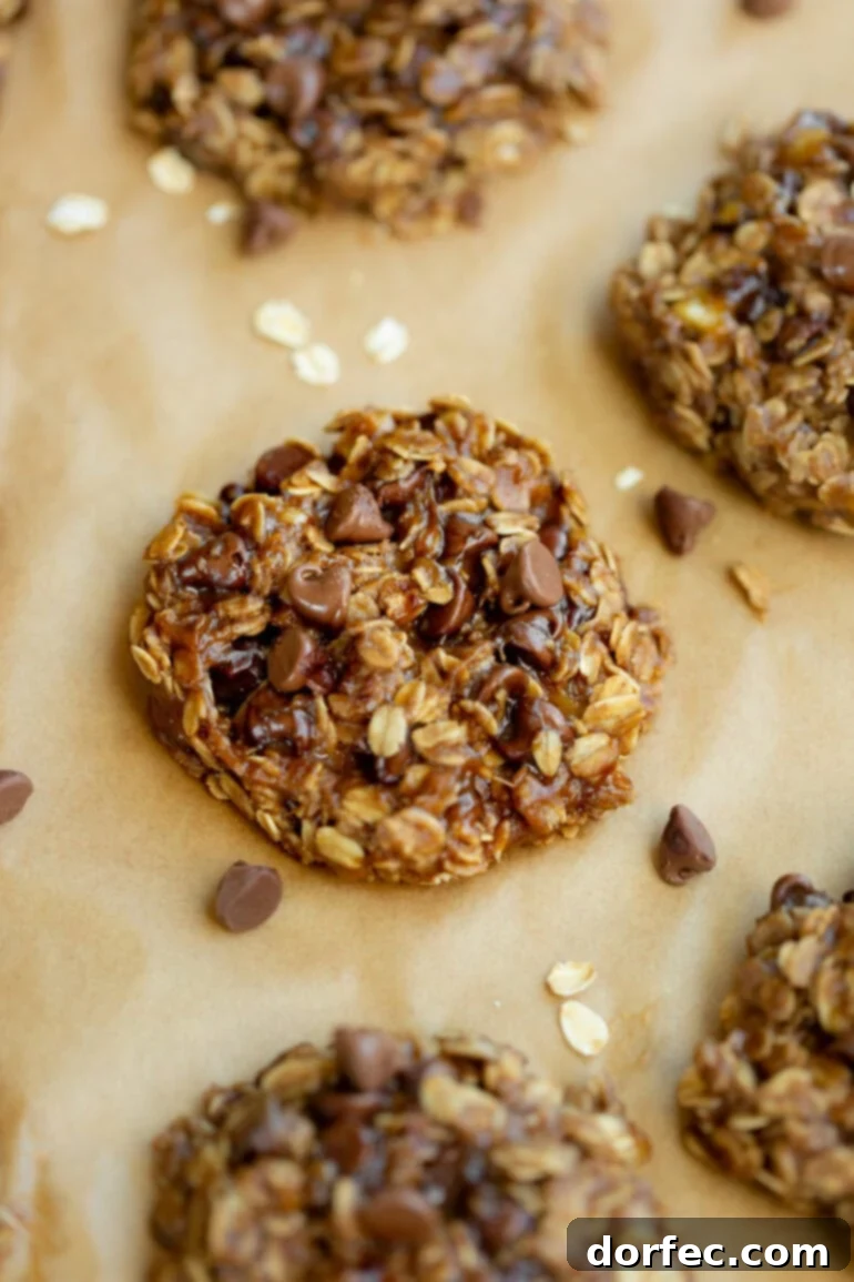 A rustic arrangement of several perfectly baked peanut butter breakfast cookies, featuring visible chocolate chips and oats, casually placed on a brown piece of parchment paper, highlighting their homemade charm and wholesome appeal.