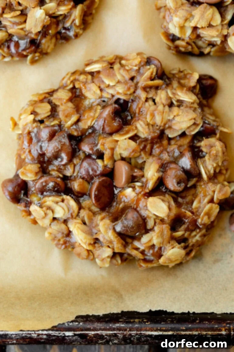 A close-up, overhead shot of a single baked peanut butter oatmeal cookie, showcasing its rustic texture, visible oats, and perfectly melted chocolate chips, inviting a delicious and satisfying bite.