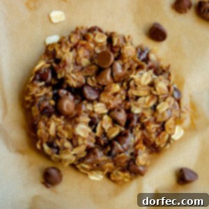 a photo of a baked peanut butter chocolate chip breakfast cookie