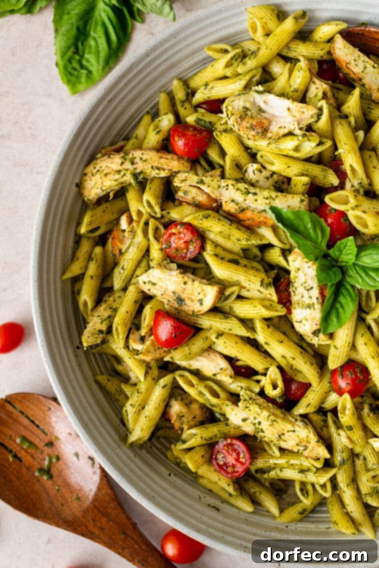 a photo of a large serving bowl full of cooked penne pasta tossed with sliced chicken breasts, sliced grape tomatoes, and fresh basil.