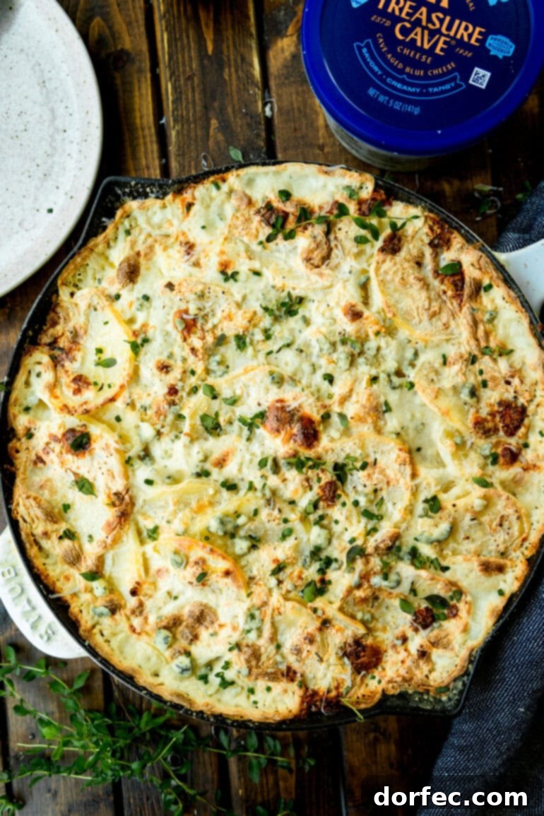 A large skillet brimming with creamy, golden-baked Treasure Cave Blue Cheese Potato Gratin, topped with fresh thyme, with a container of Treasure Cave blue cheese positioned beside it on a rustic wooden surface, highlighting its rich, indulgent texture and vibrant green garnish.