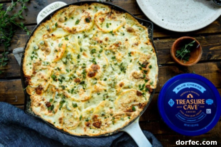 A large cast iron skillet filled with a golden-baked blue cheese scalloped potato gratin, topped with fresh herbs, with a container of Treasure Cave blue cheese resting beside it, highlighting its rich, comforting appeal.
