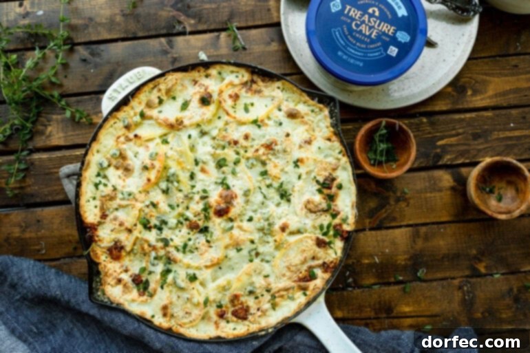 A close-up shot of a cast iron skillet filled with a creamy blue cheese potato gratin casserole, garnished generously with vibrant fresh thyme sprigs, showcasing the bubbling cheese and tender potato layers. A container of Treasure Cave Blue Cheese rests invitingly on the side.