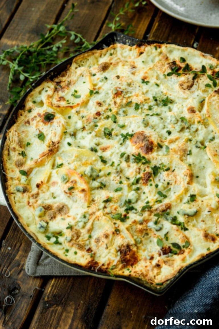 A tantalizing overhead view of a large cast iron skillet filled with golden-baked, bubbly creamy scalloped potatoes, generously adorned with vibrant fresh thyme leaves, highlighting the rich texture and inviting aroma of the finished dish.