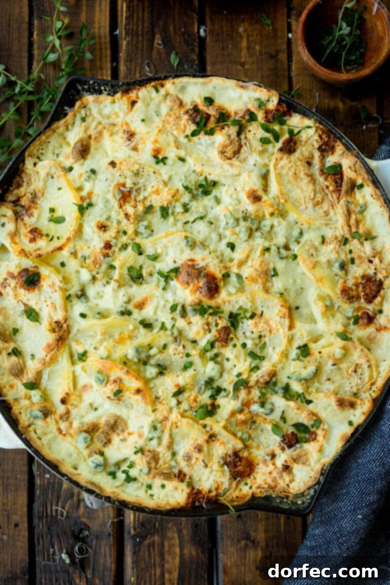 A close-up view of a large cast iron skillet filled with a golden-baked, creamy blue cheese scalloped potato casserole, generously sprinkled with fresh thyme over the bubbling, cheesy surface, capturing its irresistible texture and aromatic appeal.