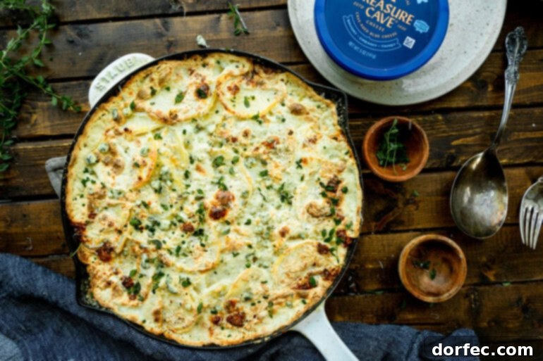 A large cast iron skillet filled with golden-baked blue cheese potato gratin, garnished with minced fresh herbs on top, with a container of Treasure Cave blue cheese sitting next to it, emphasizing the rich and cheesy nature of the dish.