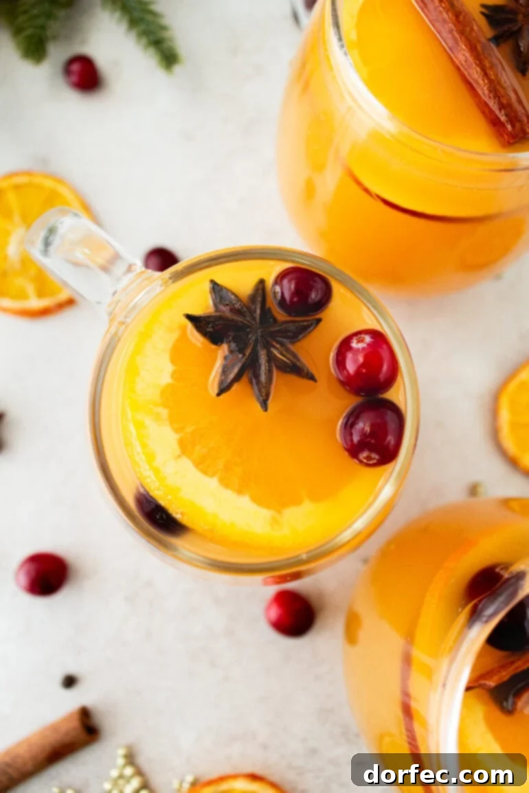 A photo taken over the top of a glass mug full of bright orange homemade Wassail, topped with floating whole cranberries and star anise. This traditional recipe brings comforting holiday cheer without alcohol, featuring the cozy flavors of orange, apple, cinnamon, and various spices.