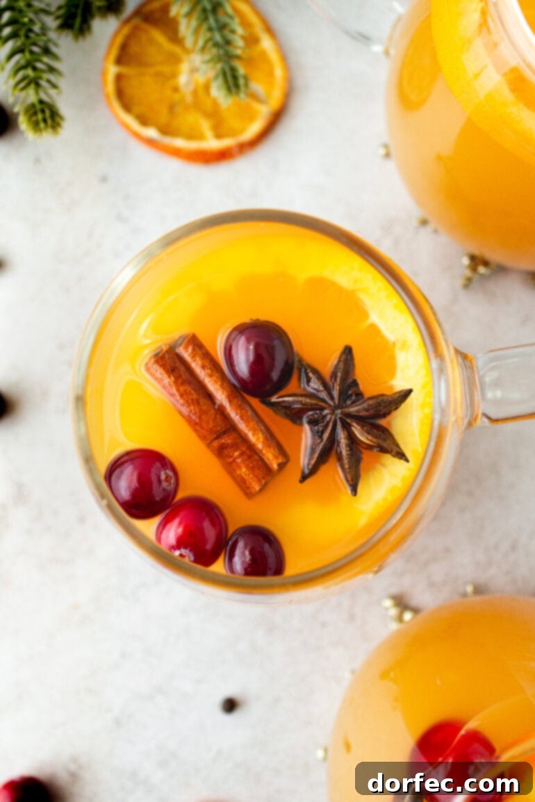 A photo taken over the top of a glass mug filled with Wassail, beautifully garnished with floating whole cranberries, a star anise, a cinnamon stick, and a slice of orange. This delicious Wassail recipe is perfect for holiday parties and cozy nights by the fire, offering a comforting drink for everyone.