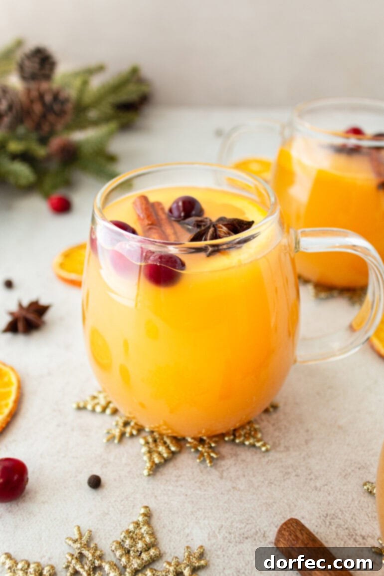 A glass mug brimming with bright orange homemade Wassail, elegantly topped with whole cranberries, a chunk of cinnamon stick, and a star anise. This easy Wassail recipe is a festive and flavorful drink, perfect for warming up this holiday season and impressing your guests.