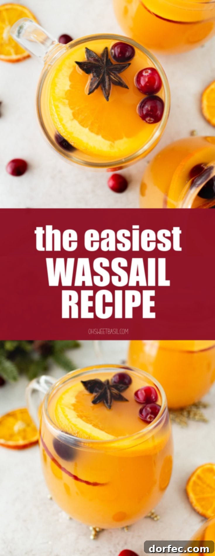 A photo taken over the top of a glass mug full of bright orange homemade Wassail topped with floating whole cranberries and star anise. This beautiful image represents the delicious outcome of the Easy Homemade Wassail Recipe.