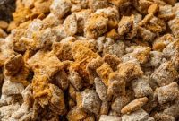 Double Peanut Butter Puppy Chow