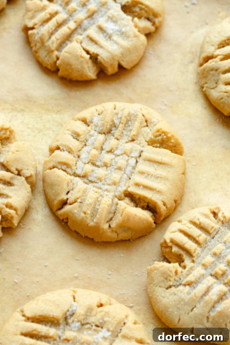 Baked peanut butter cookies with the classic criss-cross pattern