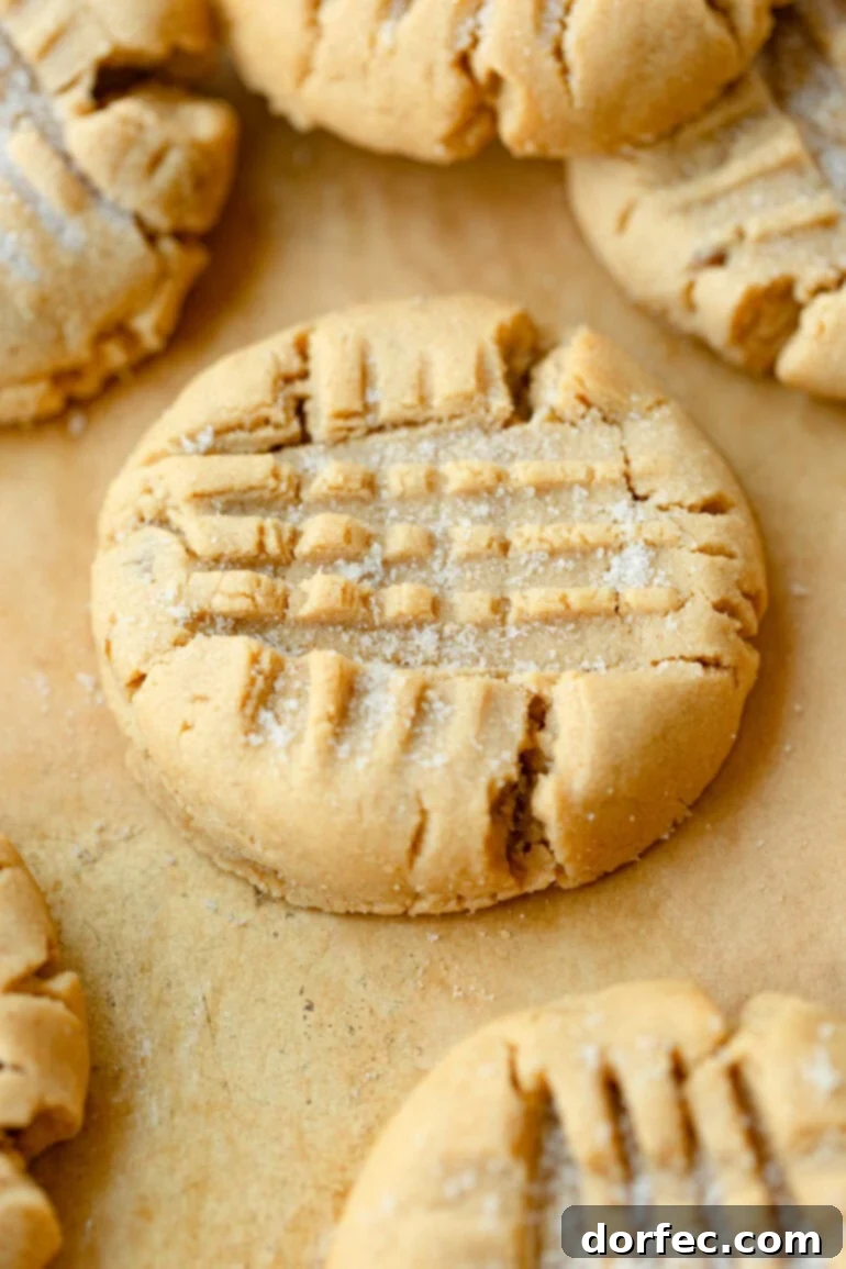 Close-up of a perfectly baked peanut butter cookie