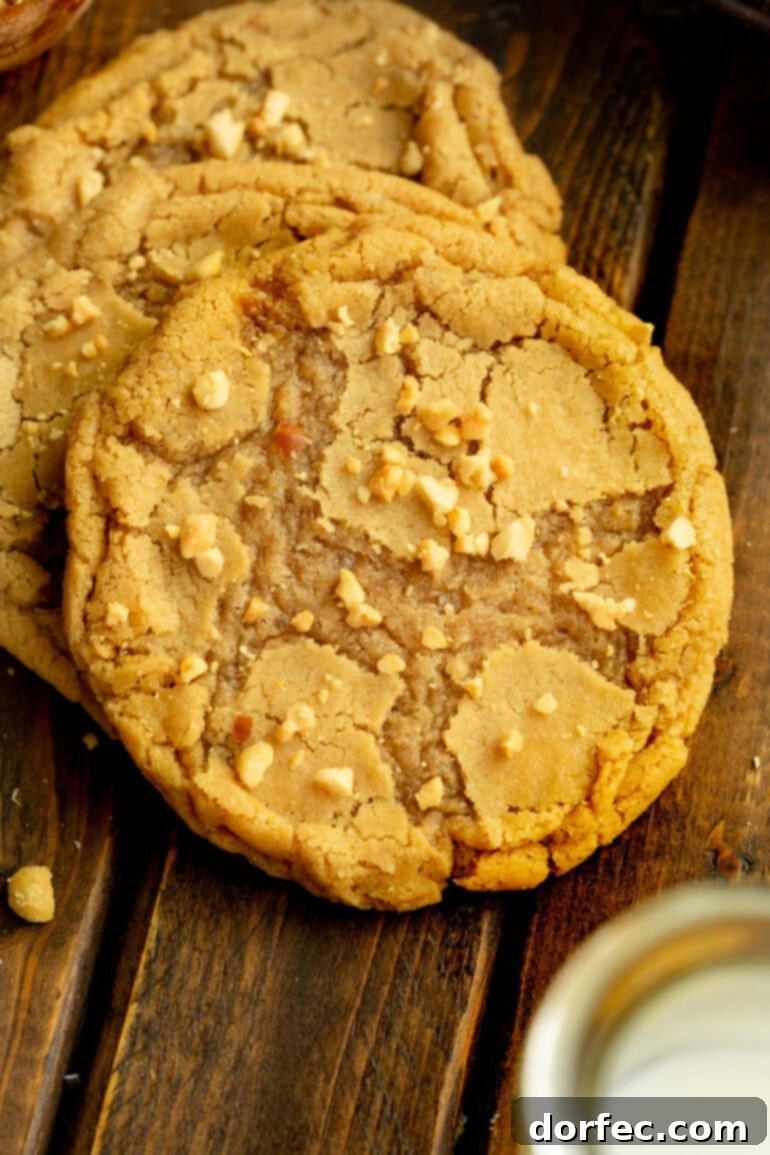 Bakery-Style Peanut Butter Dream Cookies 2 A large, bakery-style peanut butter cookie with chopped peanuts sprinkled on top.