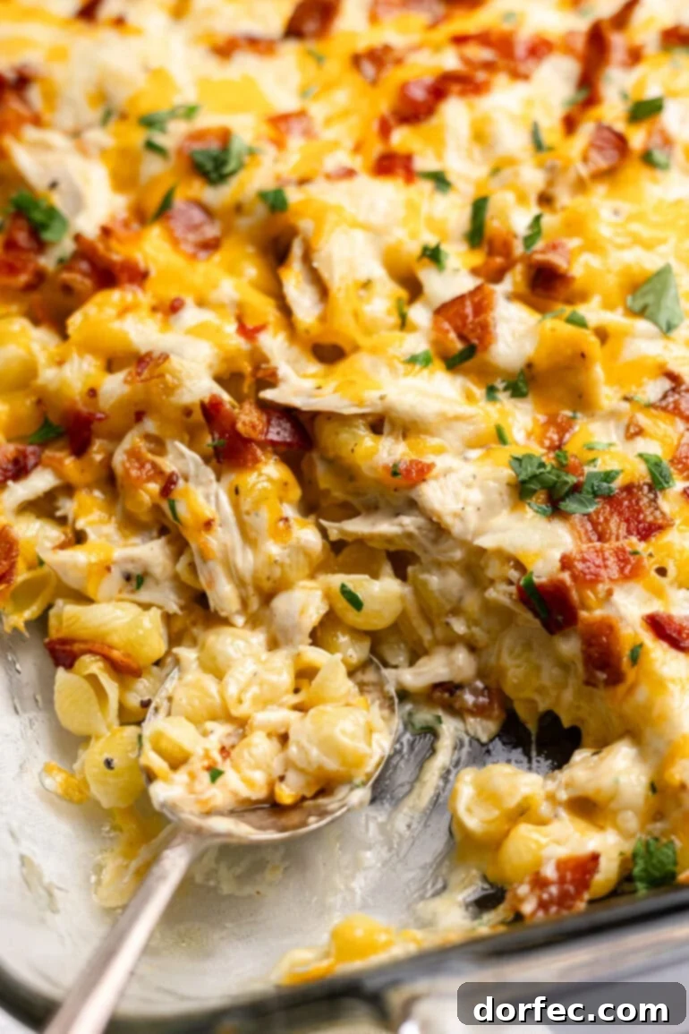 Ultimate Chicken Bacon Ranch Casserole 2 Creamy Chicken Bacon Ranch Casserole