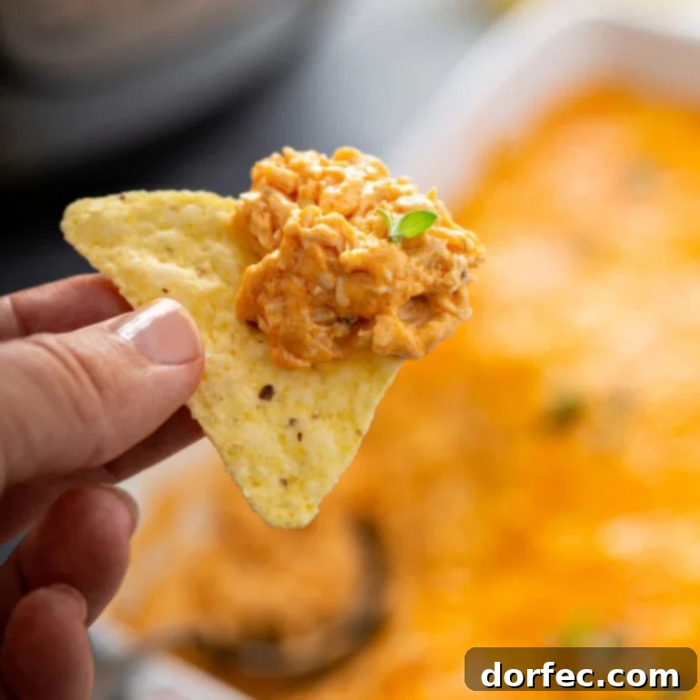 Buffalo Chicken Dip