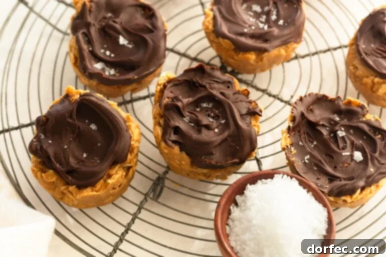 Chocolate Peanut Butter Oatmeal Cups 2 Several no-bake chocolate peanut butter oat cups topped with chocolate and sprinkled with salt