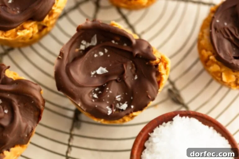 Chocolate Peanut Butter Oatmeal Cups 3 A single no-bake chocolate peanut butter oat cup topped with chocolate and salt next to a small cup of flaked sea salt