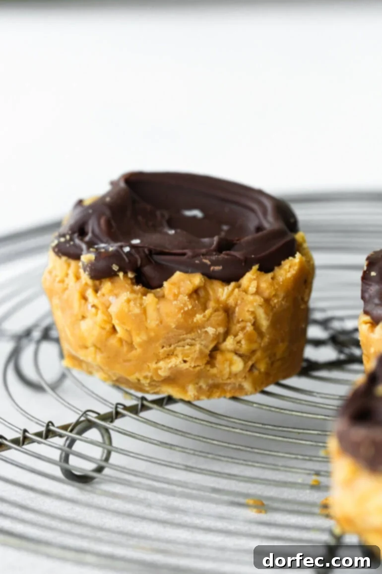 Chocolate Peanut Butter Oatmeal Cups 6 A single no-bake peanut butter oat cup topped with hardened chocolate and flaked sea salt