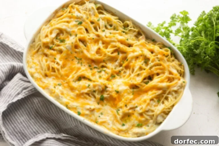 Cheesy chicken noodle casserole baked in a white ceramic dish until golden and bubbly.