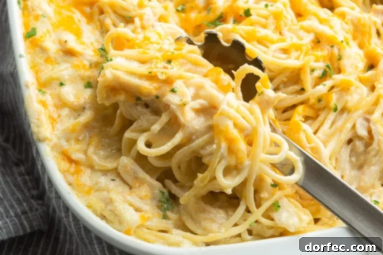 Overhead shot of creamy chicken noodle casserole in a white baking dish with melted cheese on top. A spoon is taking a scoop.