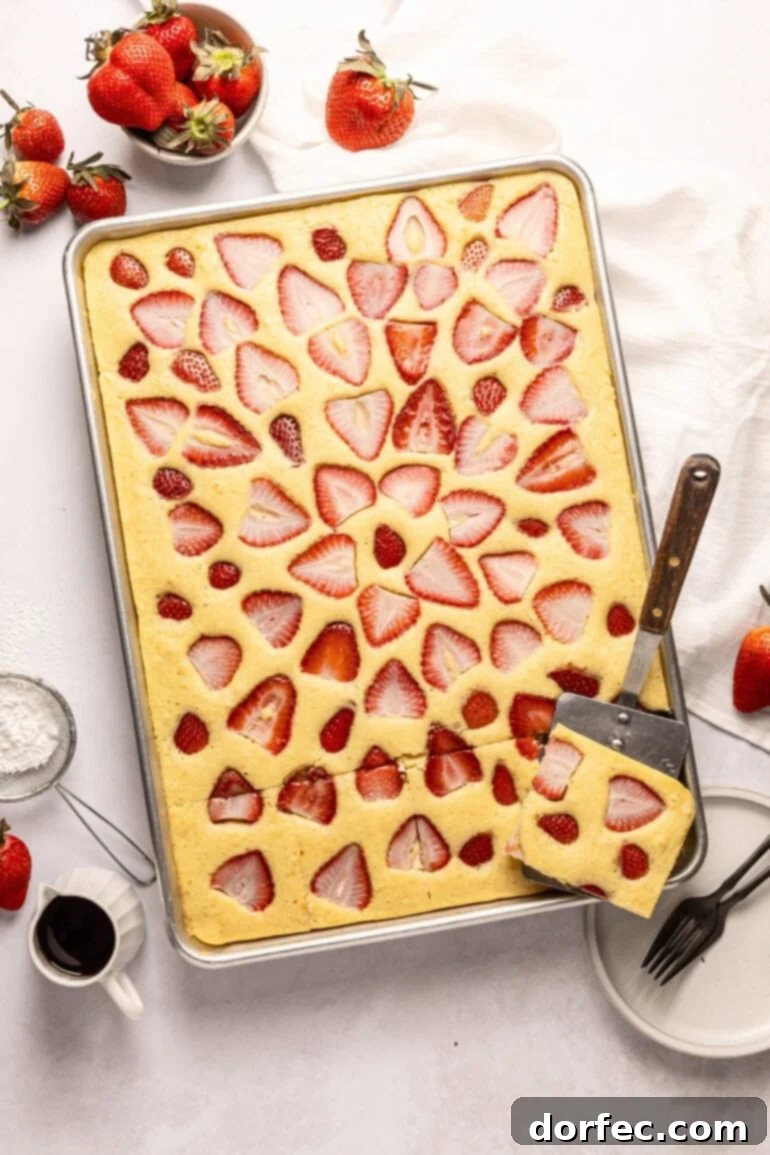 One Pan Strawberry Pancakes 2 A half sheet pan filled with golden-brown, oven-baked pancakes, dotted with fresh strawberry slices, with a metal spatula removing one generous serving.