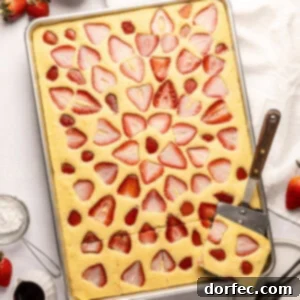 One Pan Strawberry Pancakes 15 a half sheet pan full of baked sheet pan pancakes topped with slices of fresh strawberry baked into the pancakes and a metal spatula removing one serving
