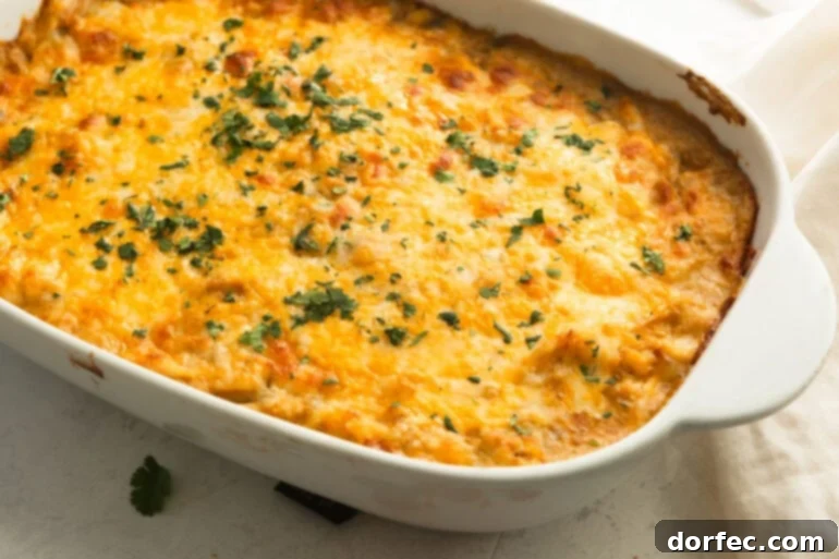 Homestyle Creamy Chicken Enchilada Bake 2 A golden-baked creamy chicken enchilada casserole, richly topped with bubbling melted cheese and garnished with fresh, vibrant cilantro.
